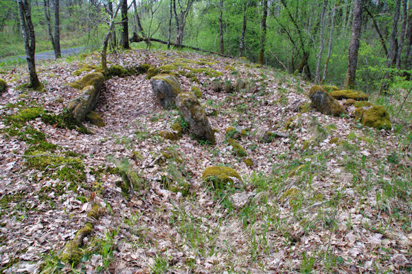 Le dolmen de la Fage