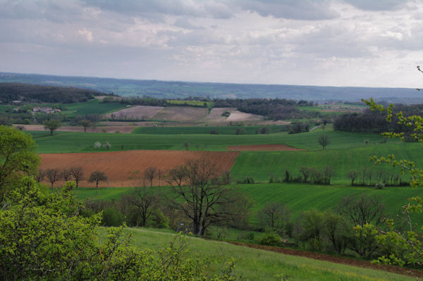 Le vallon du Rial