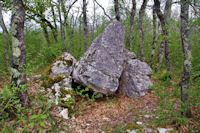 Le dolmen dit la Peyra Levada