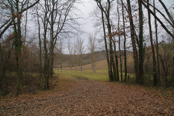 Le vallon du Tescounet