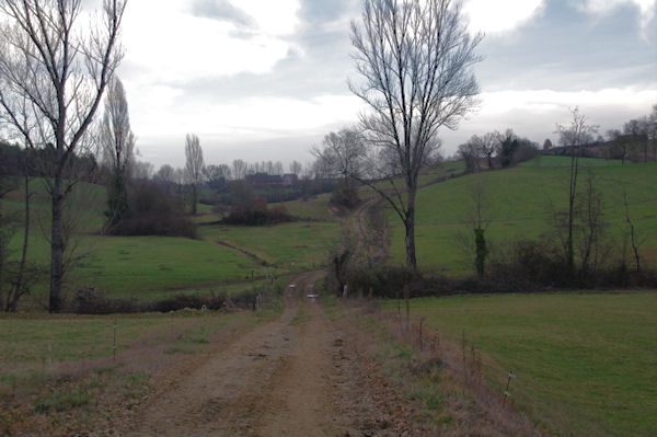 En remontant vers La Tounario