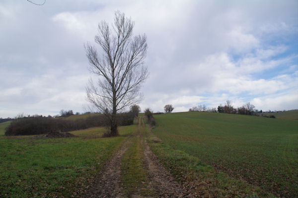 Le chemin remontant vers Las Camalets