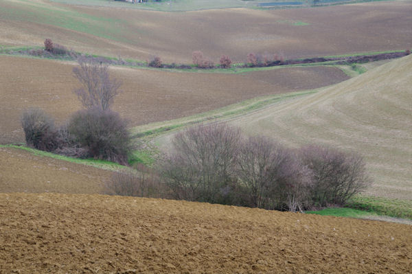 Le vallon du ruisseau des Michous