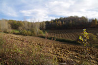 Le vallon du ruisseau de Rabistau