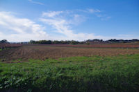 Les vignes sous Bories-Vieilles