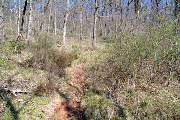 L_embranchement du sentier remontant au Pas de Caillaret