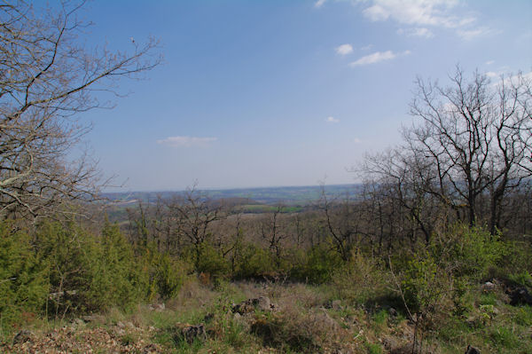 La valle du Tarn au loin