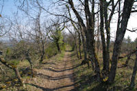 Joli sentier en descendant vers La Dugarie