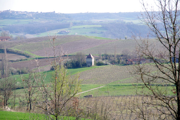 Le pigeonnier de Lamothe