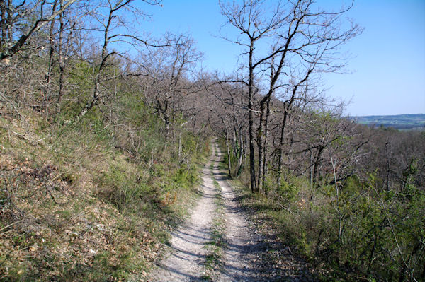 Le sentier sous le Pech de Jouzelles