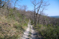 Le sentier sous le Pech de Jouzelles