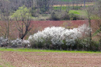 C'est le printemps au Pas de Janet