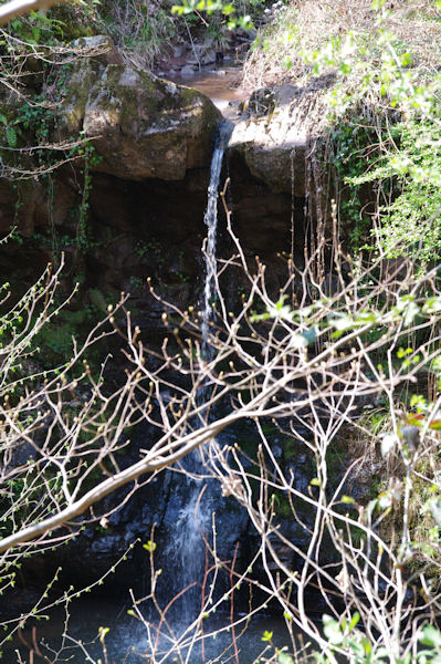 Le Saut de la Pisse sur le ruisseau de la Baronne