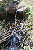 Le Saut de la Pisse sur le ruisseau de la Baronne