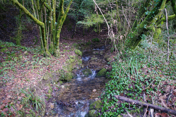 Le ruisseau de Laussire