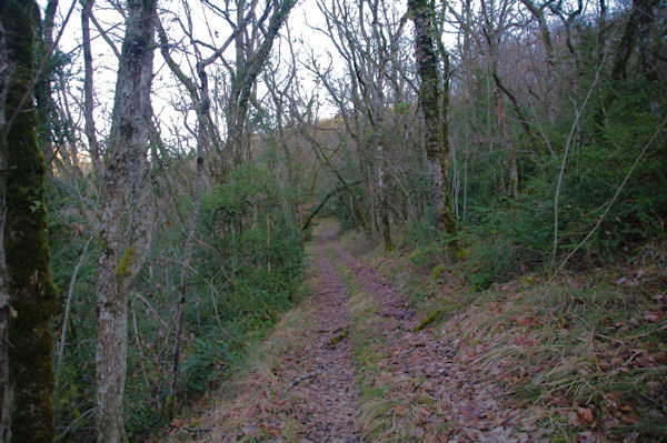 Le sentier remontant le versant Sud de la valle de Laussire