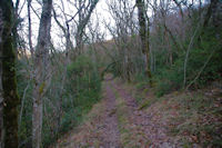 Le sentier remontant le versant Sud de la vallee de Laussiere