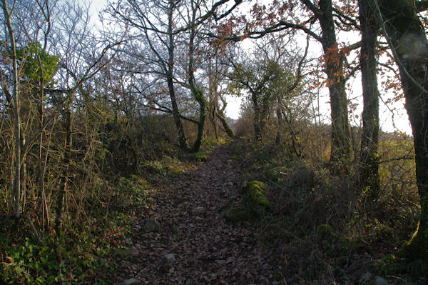 Au dessus de la valle de Laussire