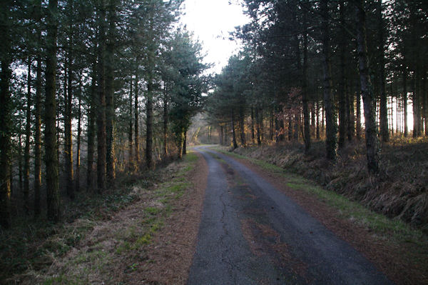 Le chemin au dessu du Col de Libert