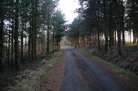 Le chemin au dessu du Col de Liberte