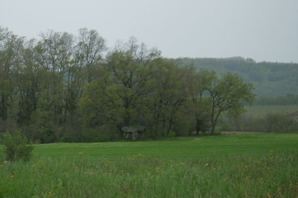 Le dolmen de St Paul