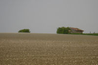 Menhir et Dolmen autour de Vieux