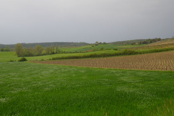 Vers le Camp de Rouyr