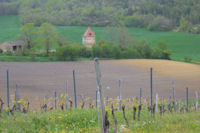 Le pigeonnier de Lamothe