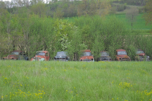 Les viellles de Vieux