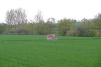 Le menhir de Vieux