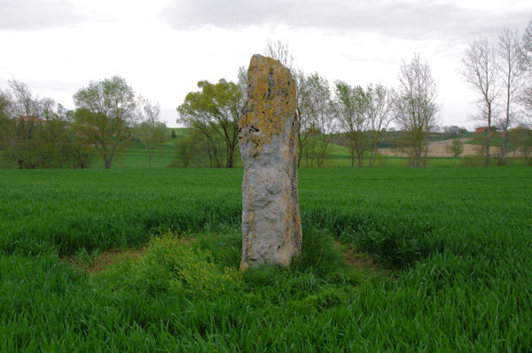 Le menhir de Vieux