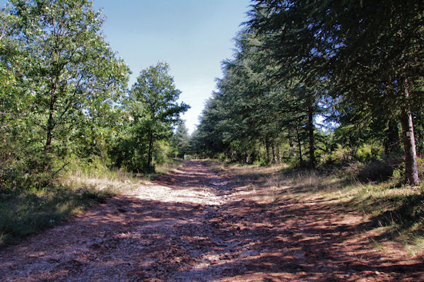 Le chemin en haut de la Combe Longue