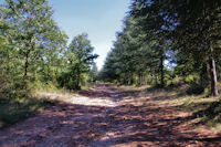 Le chemin en haut de la Combe Longue