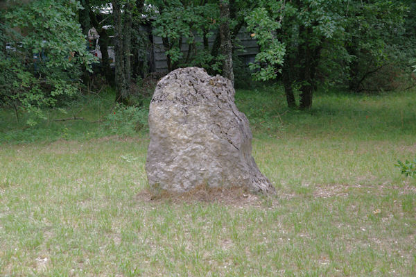 Un Menhir  Bartalbenque