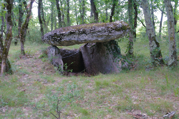 La Tombe du Gant