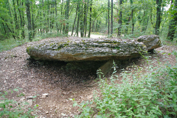 Le Dolmen de Peyrelevade