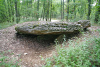 Le Dolmen de Peyrelevade