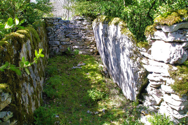 Le dolmen de Bouysset