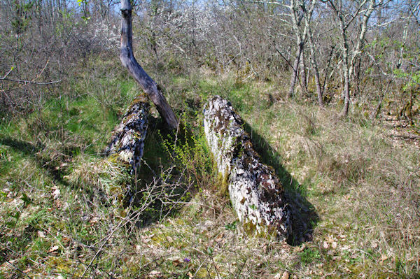 Le dolmen de Fournet