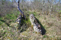 Le dolmen de Fournet