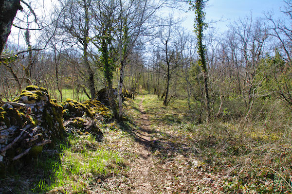 Le chemin vers Raynal Bas