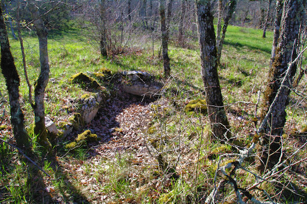 Le dolmen de Cuzoul