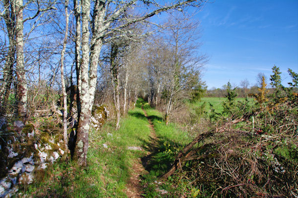 Le chemin  vesr Plantous