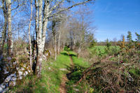 Le chemin  vesr Plantous