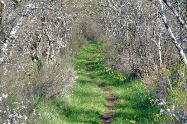 Voie verte vers La Veyrie