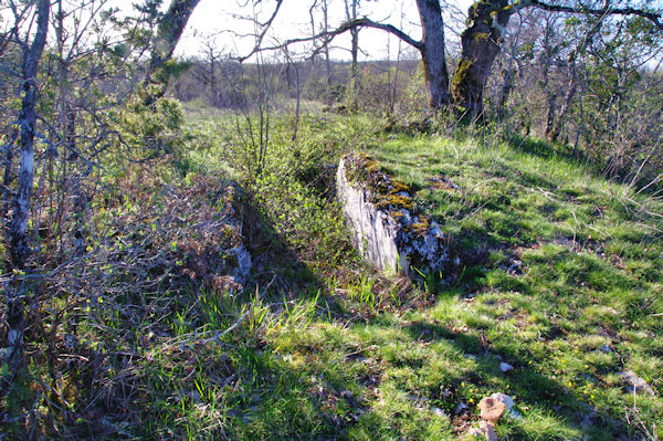 Le dolmen d_Al Pech