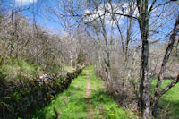 Le chemin  remontant le vallon vers Touron