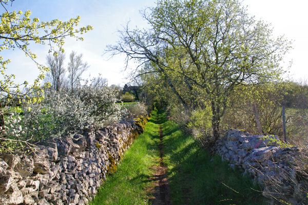 Le chemin vers La Veyrie