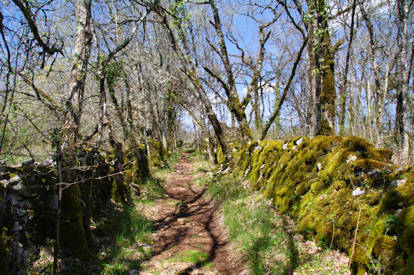 Le chemin menant  Touron