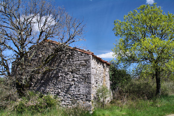 Une maison ruine  Canelle
